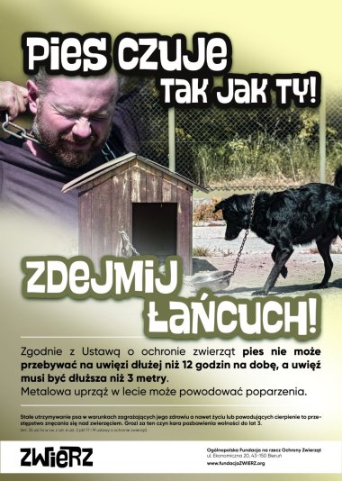 plakat