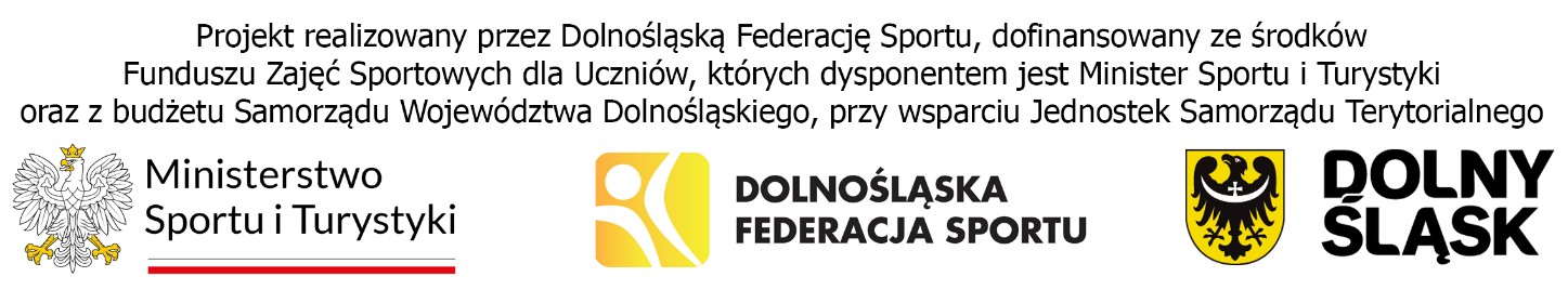 logo plywam