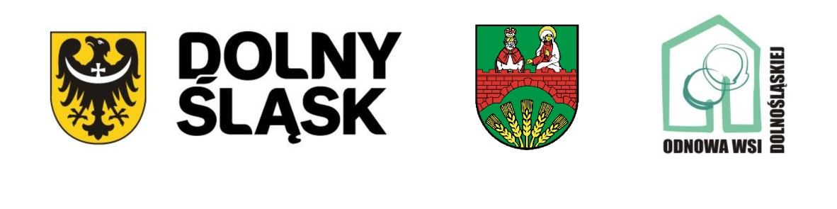 logotyp kopacz